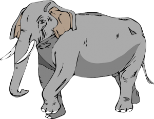 elephant-24732_640