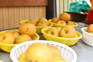 梨 食べ過ぎ 適量