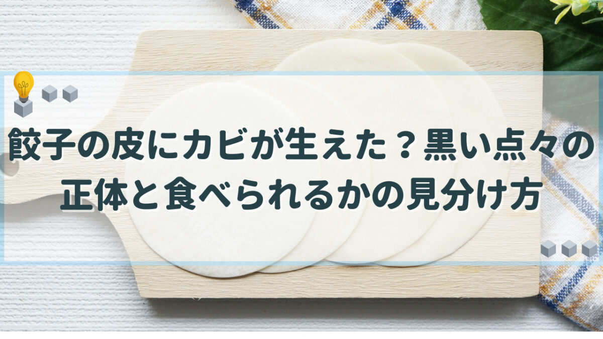 餃子の皮　カビ