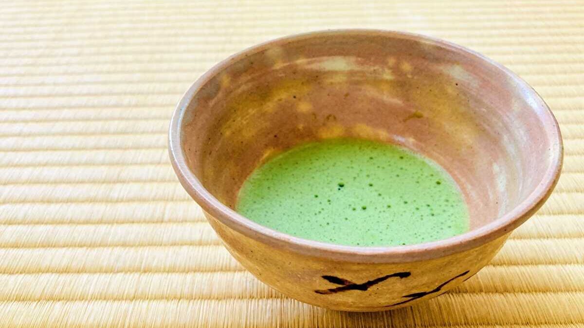 抹茶　飲み過ぎ