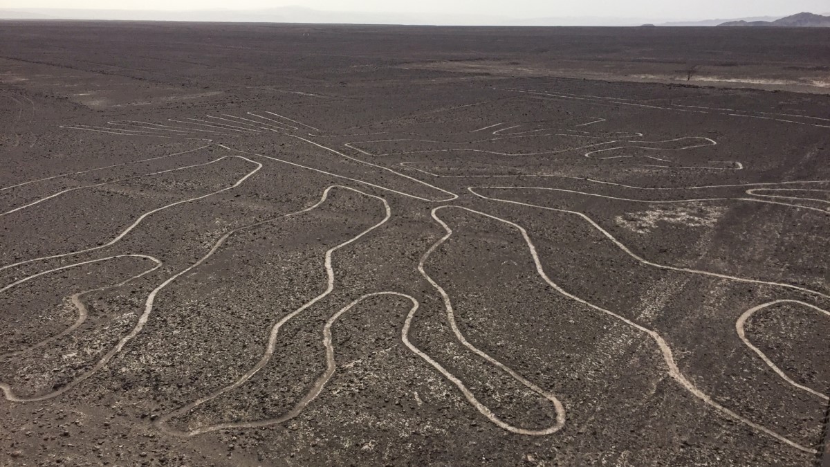 ナスカの地上絵 なぜ消えない